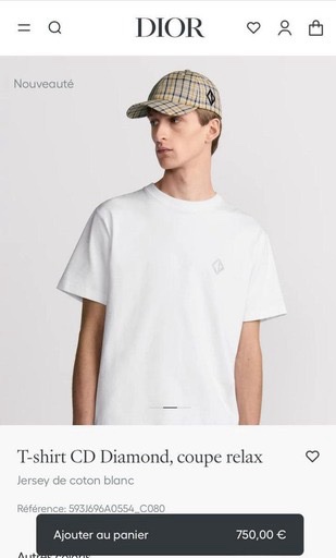 DIOR CD Relaxed Reflector